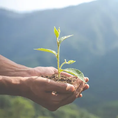 Lifestyle in Bosque Central