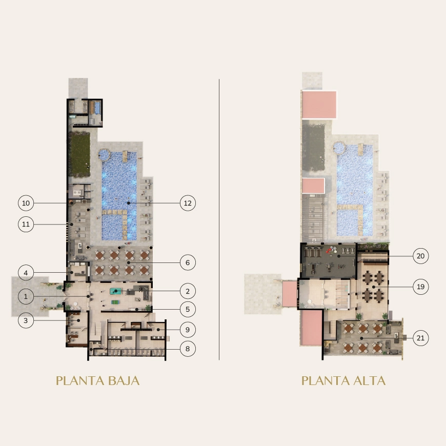 Floor plan of the clubhouse in the Bosque Central subdivision located in Aguascalientes