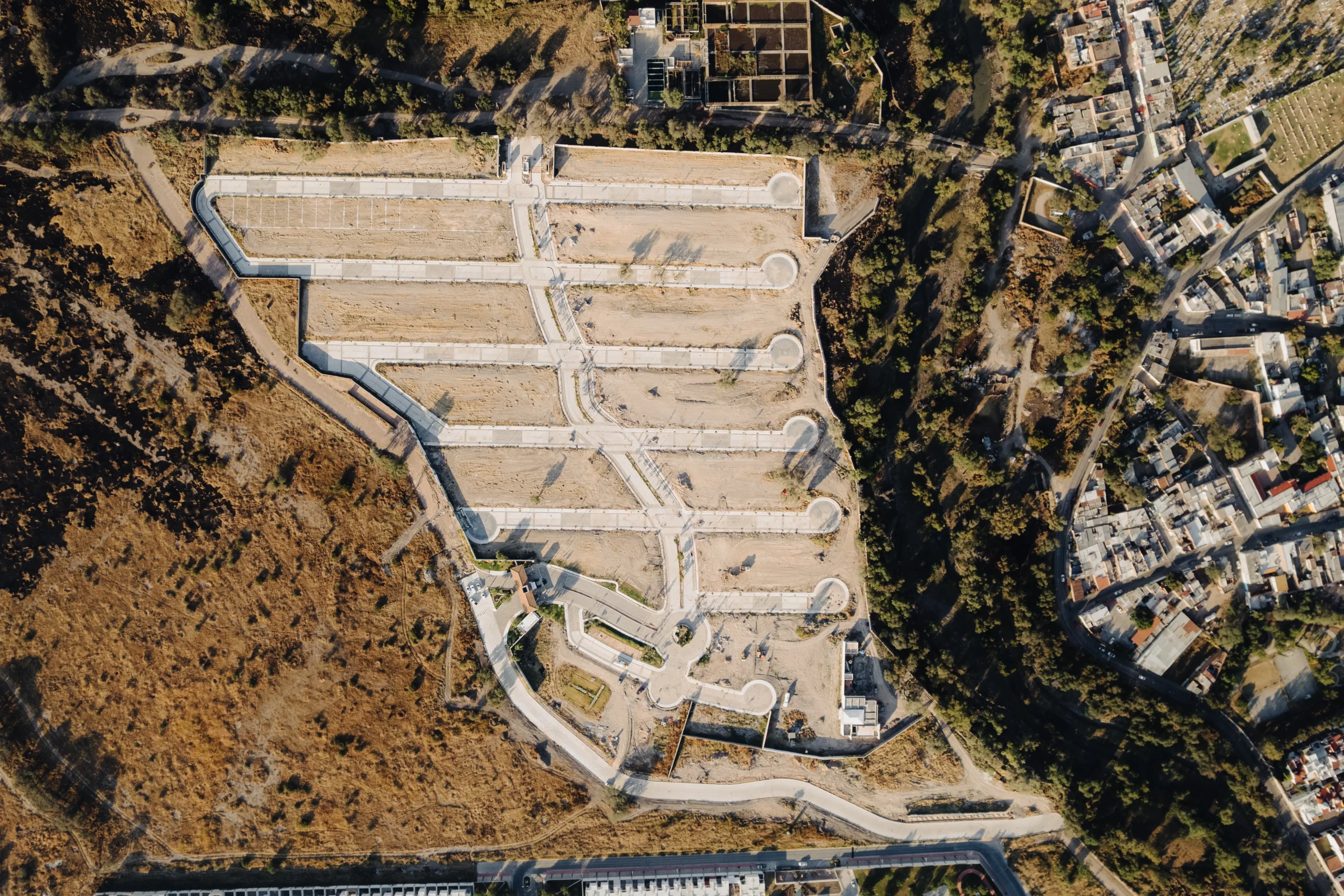 Central Forest Aerial View